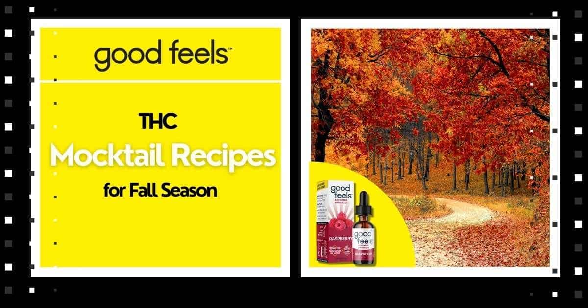 THC Mocktail Recipes for Fall Season- Good Vibes Fast Acting THC Syrup