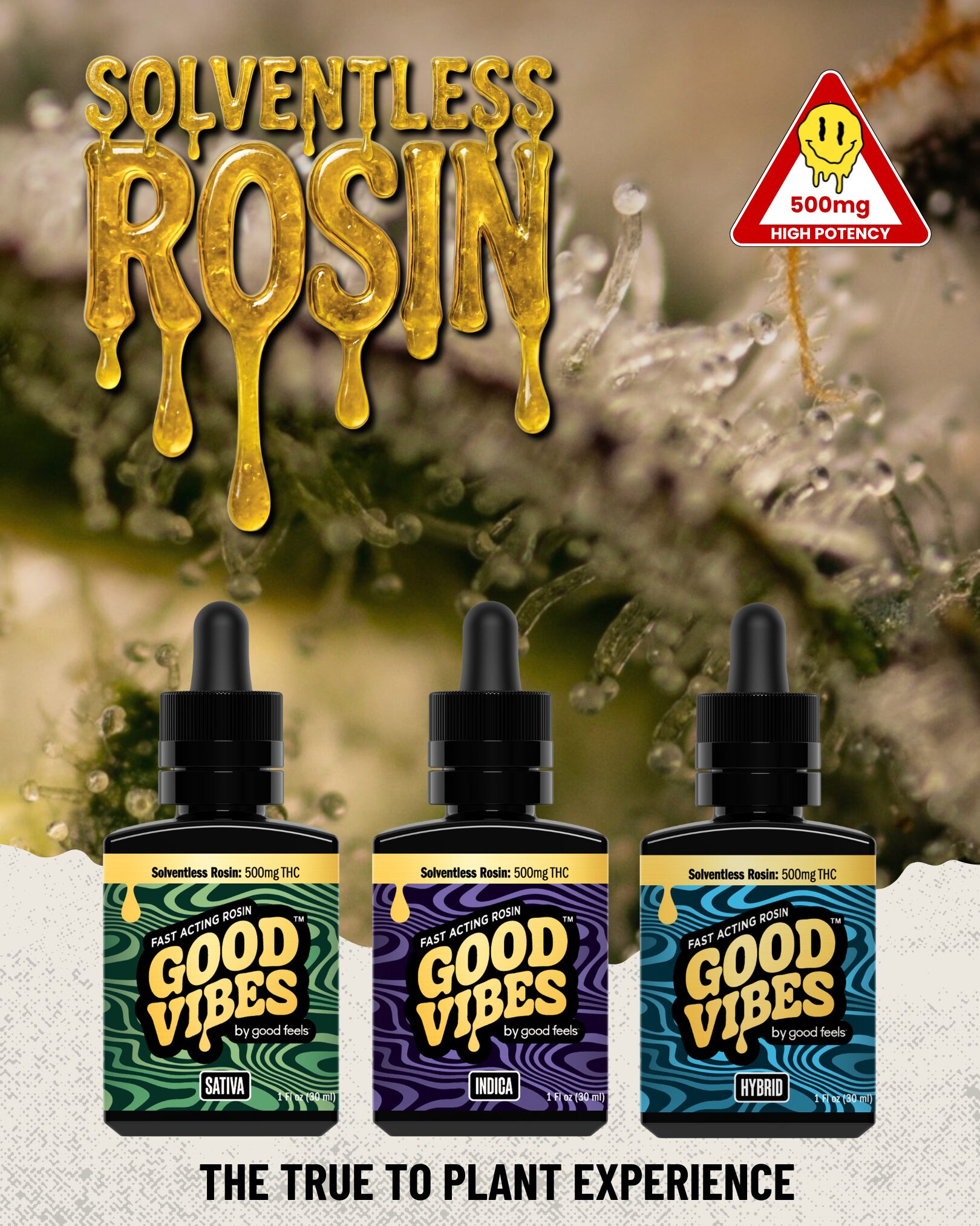 Three bottles of Good Vibes solventless rosin products in a row, with bold 'SOLVENTLESS ROSIN' text and a 500 mg high-potency warning triangle in the background; botanical backdrop.