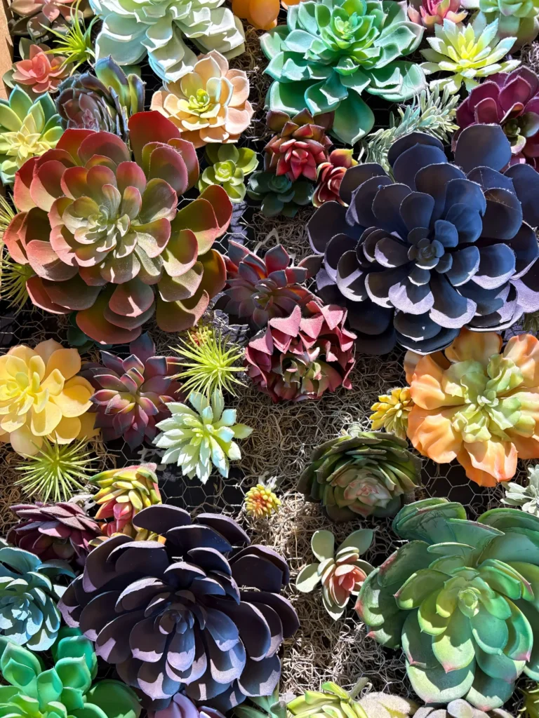 A retail display captured in the store at Stem - Haverhill.