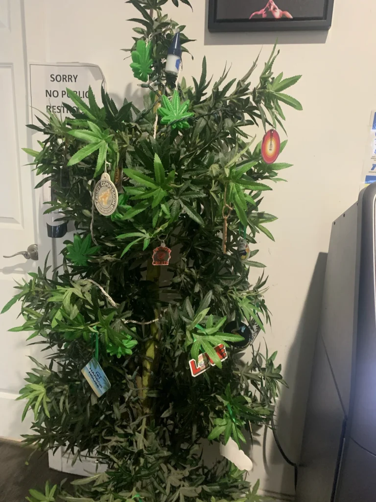 Bright retail display featuring products and signage at CannaVana.