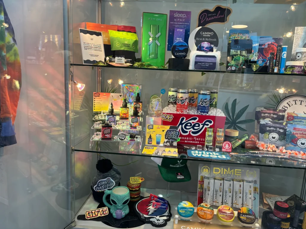 Welcoming in-store display featuring Come Vibe at Bloom Brothers – Pittsfield.