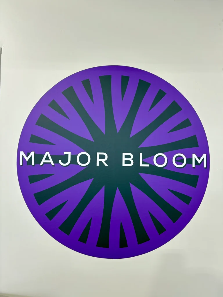 A retail display captured in the store at Major Bloom - Worcester.