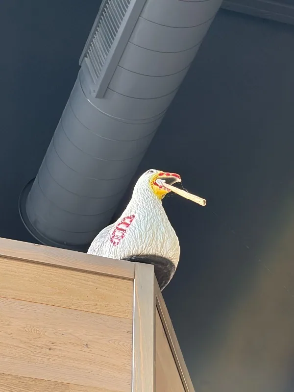 Pelican figure perched above a wooden display inside Ocean Breeze Cultivators.