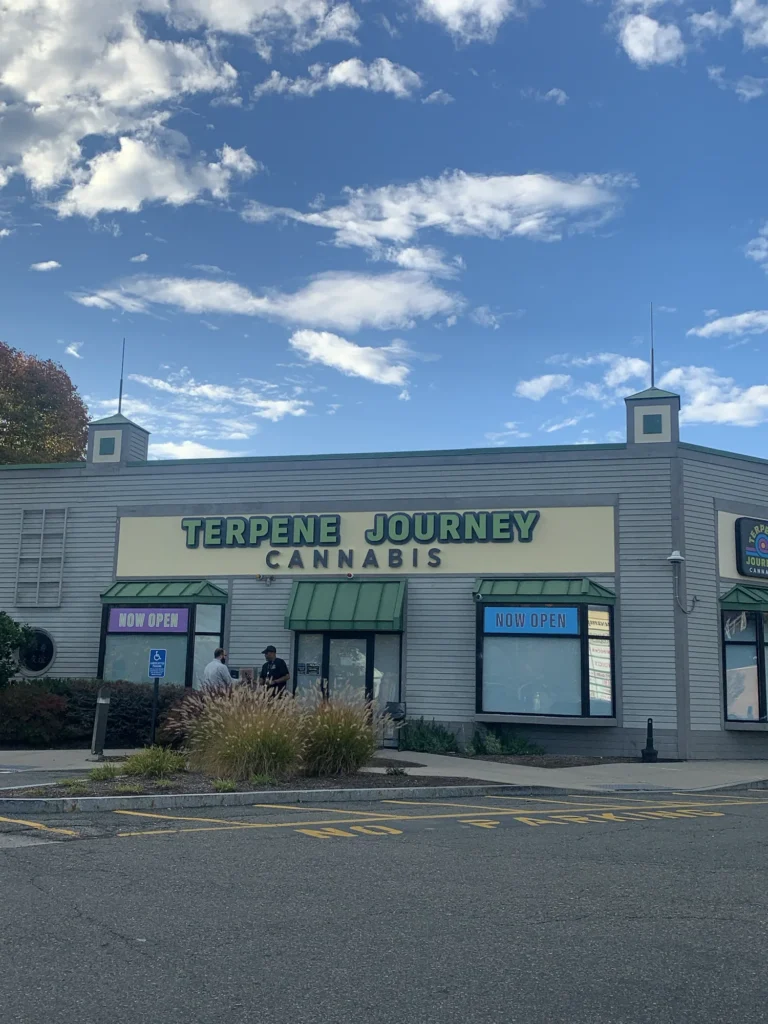 Playful storefront scene featuring products and signage at Terpene Journey.