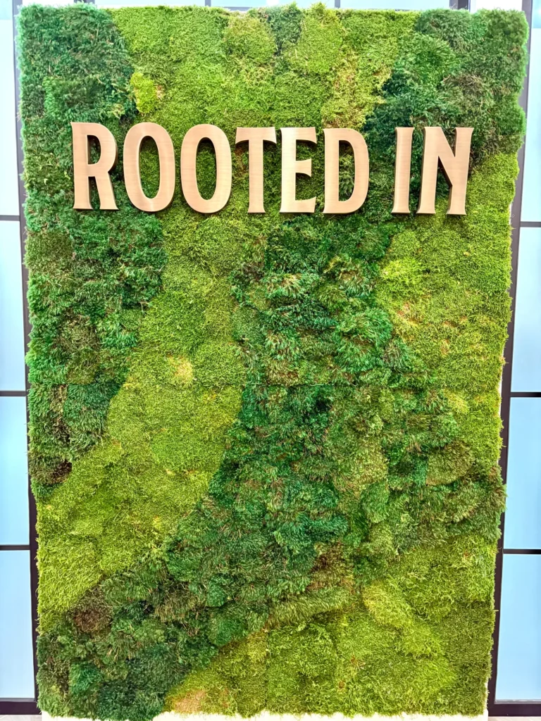 A retail display captured in the store at Rooted In - Boston.