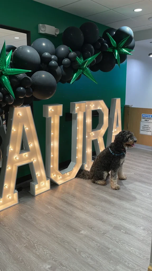 A friendly-looking dog sits beside Aura's illuminated AURA letters under a black-and-green balloon garland.