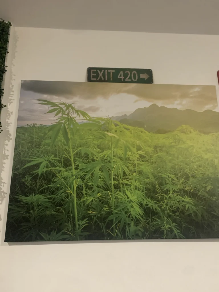 Warm retail display featuring products and signage at CannaVana.