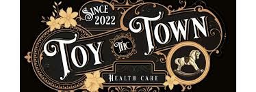 Vintage ornate logo for 'Toy the Town Health Care' with a rocking-horse illustration and 'Since 2022' banner.