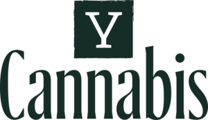 Logo with a dark green square bearing a white 'Y' above the word 'Cannabis' in a bold serif font.