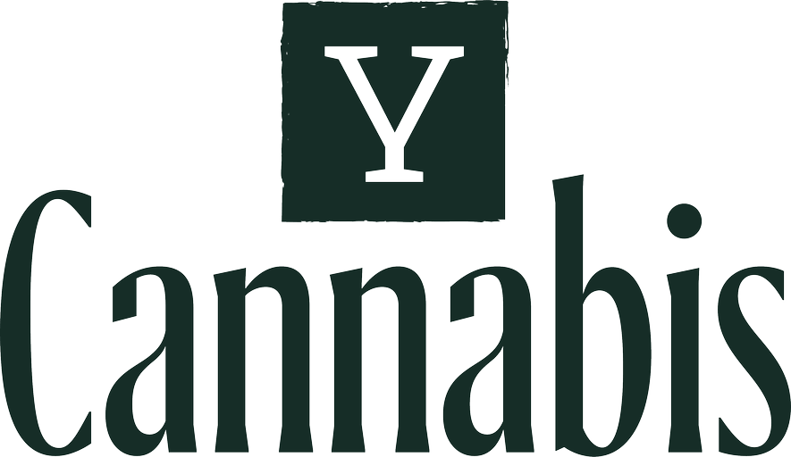 Logo with a dark green square bearing a white 'Y' above the word 'Cannabis' in a bold serif font.
