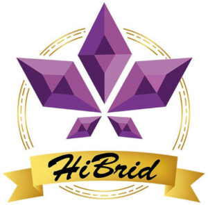 HiBrid logo: abstract purple gemstone shapes arranged like a crown with a gold ribbon reading 'HiBrid' beneath.