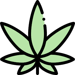Stylized green leaf with six leaflets and a black outline.