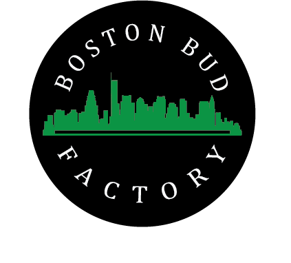 Circular black logo featuring a green Boston skyline silhouette with a horizontal line beneath, and the white curved text 'BOSTON BUD FACTORY' around the edge.