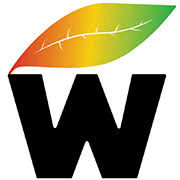 Bold black letter W with a colorful gradient leaf above it.