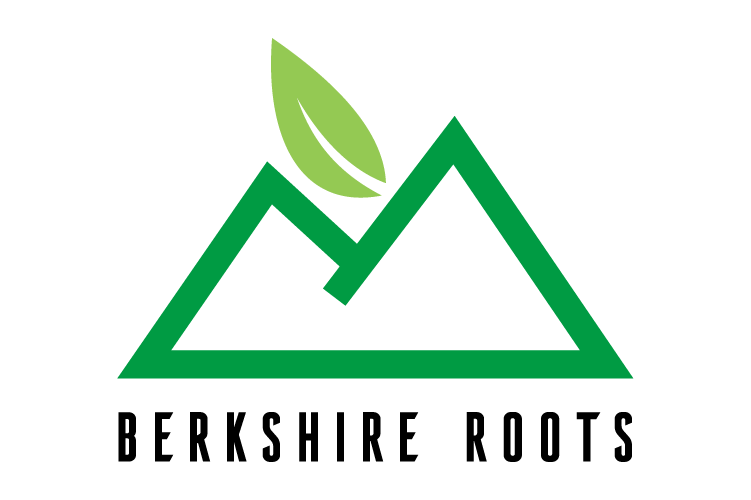 Green mountain outline with a leaf above, symbolizing eco-friendly outdoors