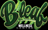 Bleach Wellness Centre logo in green cursive with a white subtitle reading Wellness Centre underneath