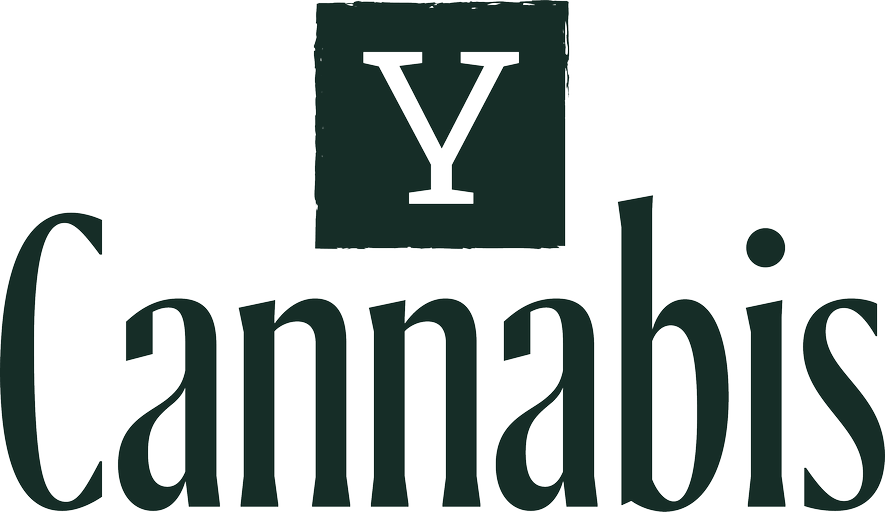 Cannabis logo: large serif wordmark with a dark square above containing a white Y.